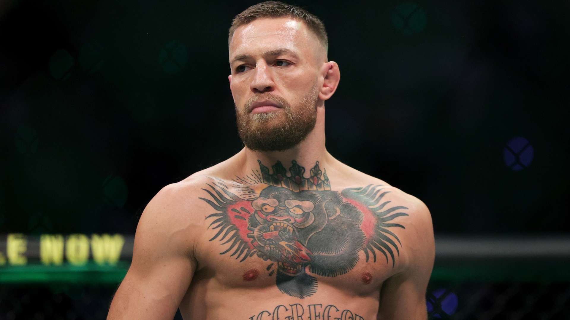 迅速适应并 迅速适应并