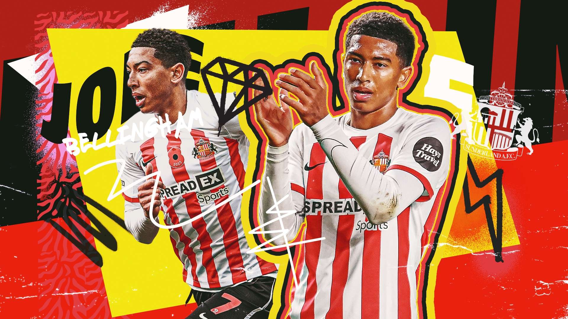 献也不可忽 献也不可忽