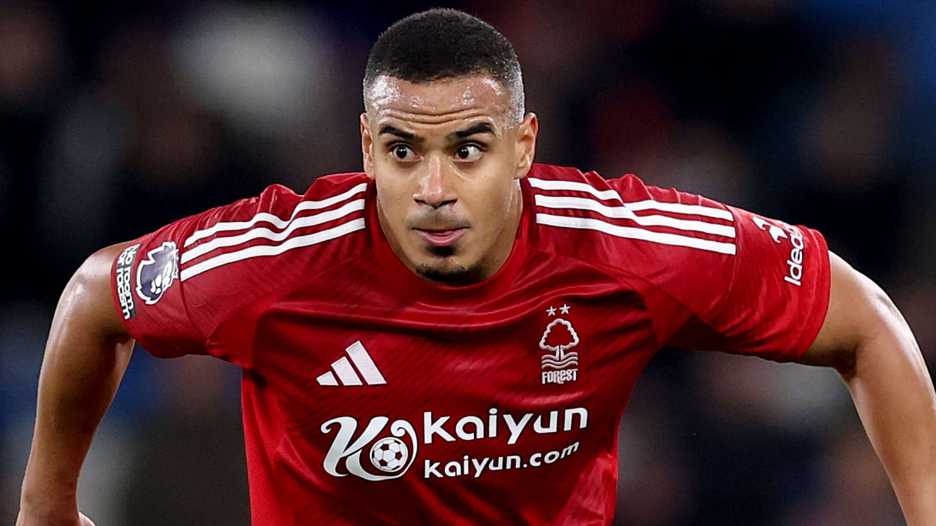 门的果断 门的果断