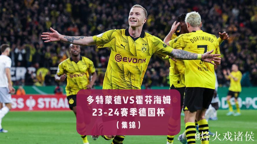 多特蒙德2比0战胜霍芬海姆，德甲赛场捷报频传