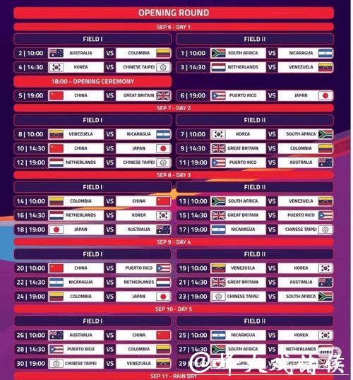 世界杯买球平台：畅享精彩赛事即时投注